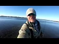 TRAILFISH Low tide fishing in Tampa Bay