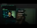 Kiss Land