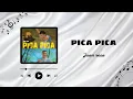 Download Lagu PICA PICA - JUAN REZA LIRIK LAGU | LAGU TIMUR VIRAL TIKTOK