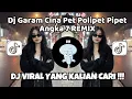 Lagu DJ PET POLIPET GARAM CINA X MAGIC VOICE VIRAL TIKTOK TERBARU YANG KALIAN CARI CARI !!!