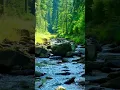 Download Lagu This music can listen forever! Sergey Grischuk! #Shorts