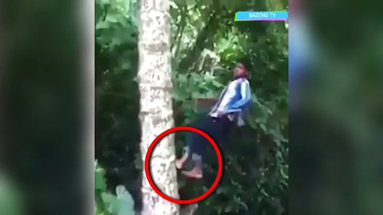 For Businees / Endorse Via DM Instagram Jangan lupa follow Instagram : https://www.instagram.com/res. 