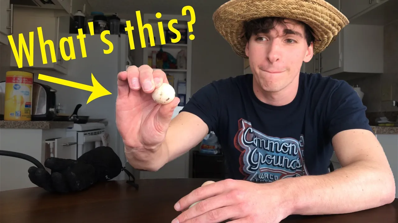 What IS this TINY Egg??? | Welcome To The Urban Rescue Ranch | Homestead Tour (GIVEAWAY at the End!)