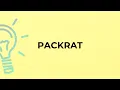 What is the meaning of the word PACKRAT
