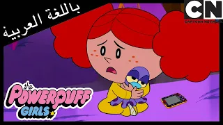 أوكتي فتيات القوة كرتون نتورك دندنها