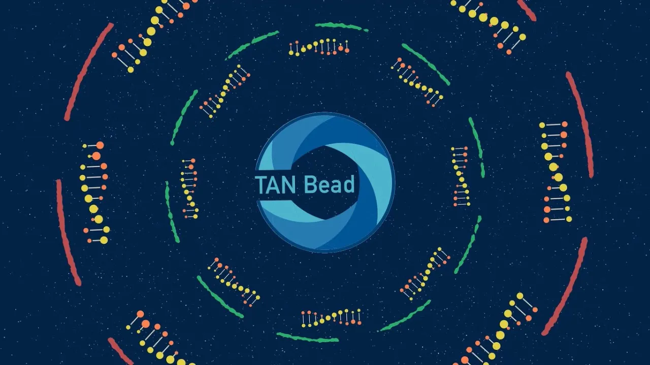 TANBead - Company Profile (English)