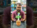 Viral Dancing Cactus Toy Review