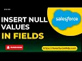Insert null values in Salesforce object fields Add blank values to Record field via data loader