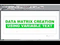 Data Matrix Creation Using Variable Text