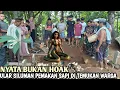 Lagu Viral !! Warga Berhasil Kepung Ular Siluman Berkepala Manusia Pemangsa Hewan Ternak, Penunggu Makam!