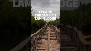 Following the wooden trail over the mangrove #windedvoyage #sailinglife #gambia #laminlodge