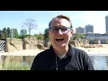 Cologne Zoo: FLIGHT SHOW in the cathedral city 🦅 | zoos.media