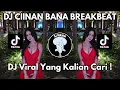 Download Lagu DJ CIINAN BANA BREAKBEAT VIRAL TIKTOK 2024 JEDAG JEDUG FULL BASS TERBARU