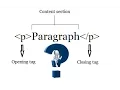 LEARN HTML BASICS - Paragraph tag