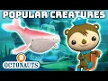 Download Lagu ​@Octonauts - Popular Creatures | 100 Mins+ | Cartoons for Kids | Underwater Sea Education
