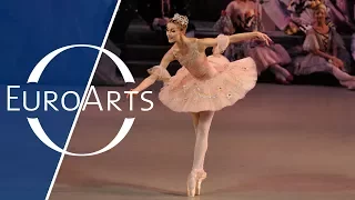 Tchaikovsky The Nutcracker Ballet In Two Acts Mariinsky Theatre HD 1080p 