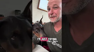 #fyp #dream #doberman #pets #youtube