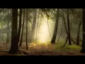 The Path of Serenity 432 Hz Music Emuna Music