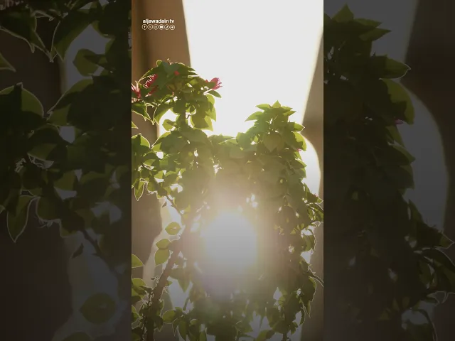 ⁣متى اللقاءُ يابقيةَ اللهِ والنور المحمدي متى نسمعُ يا أهلَ العالم أنا المهدي المنتظر