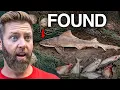 6 Extinct Animals Found in 2025