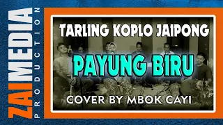 Download TARLING TENGDUNG KOPLO JAIPONG \ MP3