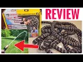 Review Pocket Hose Copper Bullet As Seen On TV Expanding Garden Hose Review