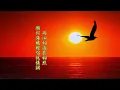 雙星情歌 - (原唱) 許冠傑 - 電影《鬼馬雙星》 的插曲