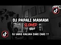DJ PAPALI MAMAM SLOWED SOUND avrillya129 VIRAL TIK TOK TERBARU 2024 !!!