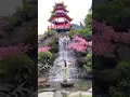 Download Lagu Wisata Baru Di Bogor Rasa Jepang !!!✨