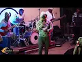 Download Lagu Some live Reggae music - Rejected ( Towela live)