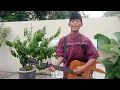 Download Lagu wali Ya Allah Cover niko