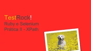 Selenium e Ruby - Pratica II 8