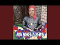 Download Lagu Ndi Nwelu Ogwu