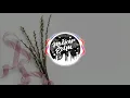 Download Lagu Stars and Rabbit - Worth It [Musiceredm]