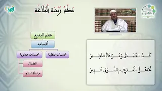 شرح نظم زبدة البلاغة للشيخ محمد محمود الشنقيطي تتمة علم البديع 