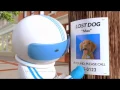 Cox LostDogII