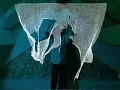 kinect processing experiments2