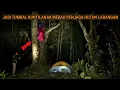 Download Lagu CAMPING HOROR: AKIBAT NEKAT MASUK GERBANG HUTAN LARANGAN