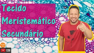 Tecido Meristemático Secundário - Meristema Secundário - Felogênio e Câmbio - Histologia vegetal
