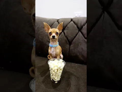 ME PARTIS LA PALTA🤪 by:alfredolarin #humor #shortvideo #funny #comedy #shorts