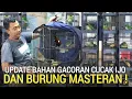 Lagu DAPET REZEKI ! BURUNG GACOR DURASI BEGINI HARGA BAHAN DI KIOS CUCAK IJO PASAR BURUNG PRAMUKA 