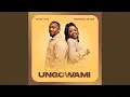 Download Lagu Ungowami