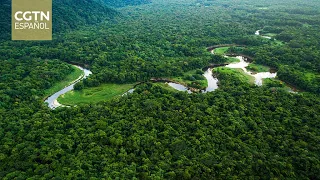 Brasil busca profundizar la cooperación con China en mercados de carbono