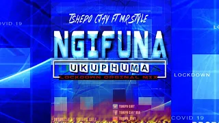 tshepo cjay feat mr style ngifuna ukuphuma lockdown original mix