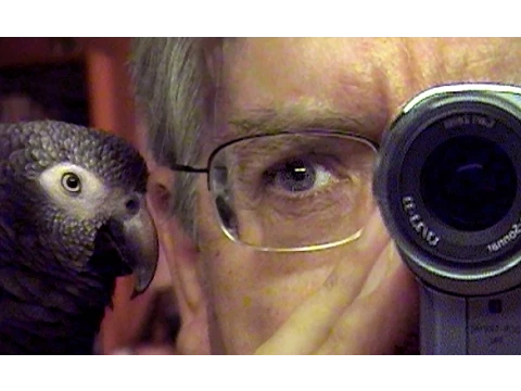 Le Filmeur d'Alain Cavalier - Bande-annonce