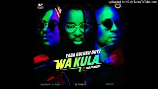 yaba buluku boyz dj tarico preck nelson tivane wa kula feat jah prayzah audio oficial 