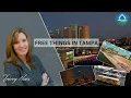 Exploring Tampa on a Budget - 10 Fantastic FREE Activities