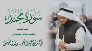 سورة محمد  القتال  من محراب مسجد المزيني ١٤٤٧ه   دندنها