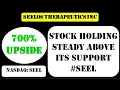 Seelos Therapeutics Inc Stock holding steady above its support - seel stock
