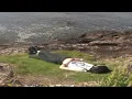 𝐏𝐥𝐚𝐲𝐥𝐢𝐬𝐭 이어폰 꽂는 순간 목소리로 극락 보내는 RNB 10